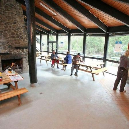 Discovery Parks - Cradle Mountain Accommodation Buitenkant foto