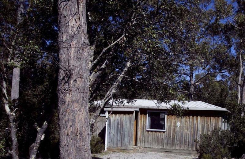 Discovery Parks - Cradle Mountain Accommodation Buitenkant foto